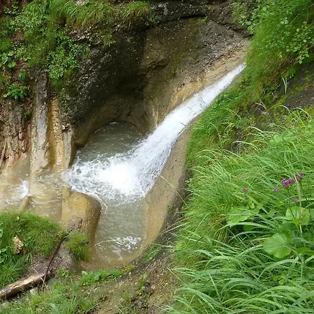 Willkommen In Unserer Ruhe Oase Im Allgaeu Daire Leutkirch im Allgäu