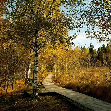 Daire Willkommen In Unserer Ruhe Oase Im Allgaeu *