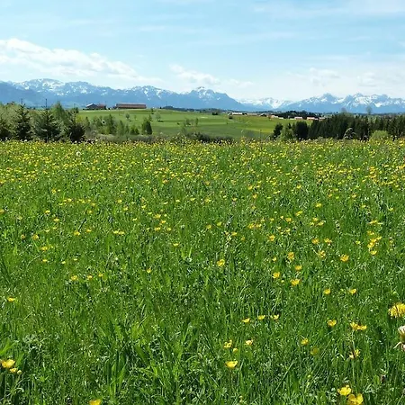 Willkommen In Unserer Ruhe Oase Im Allgaeu Leutkirch im Allgäu