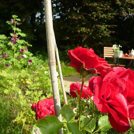 Willkommen In Unserer Ruhe Oase Im Allgaeu Daire *