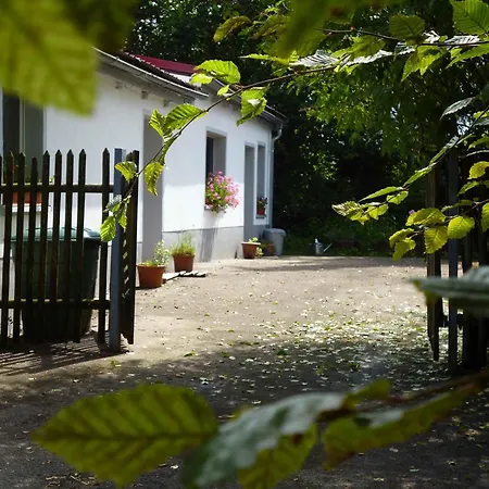 Apartment Willkommen In Unserer Ruhe Oase Im Allgaeu Leutkirch im Allgau