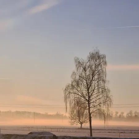 Daire Willkommen In Unserer Ruhe Oase Im Allgaeu *