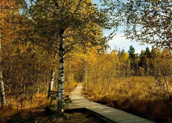 Lägenhet Willkommen In Unserer Ruhe Oase Im Allgaeu *