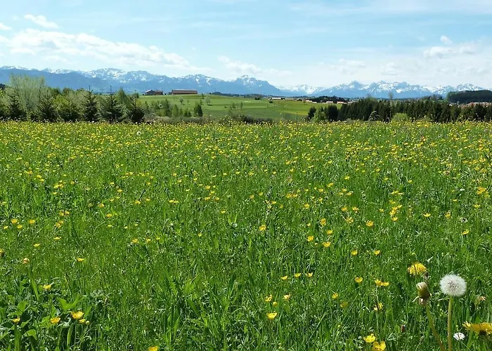 Willkommen In Unserer Ruhe Oase Im Allgaeu Leutkirch im Allgäu